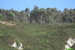 Alrededores_Playa_Quebrantos,_La_ARena-Asturias.jpg