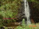 Filename=Cascada_Nonaya_4~0.JPG
Filesize=442KB
Dimensions=1632x1224
Date added=Sep 10, 2006 Cascada_Nonaya_4~0.JPG