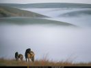 National_Geographic_Wallpapers_041.jpg