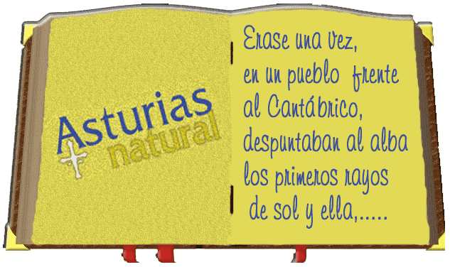 Libro de Asturias