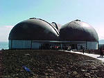 Museo del Jurásico de Asturias. Muja